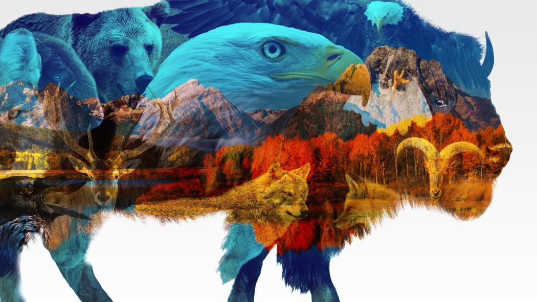 Vahşi Amerika 1. Sezon 2. Bölüm izle